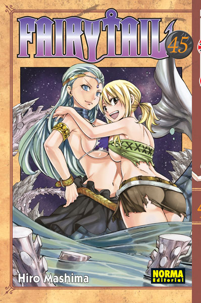 Fairy Tail 45