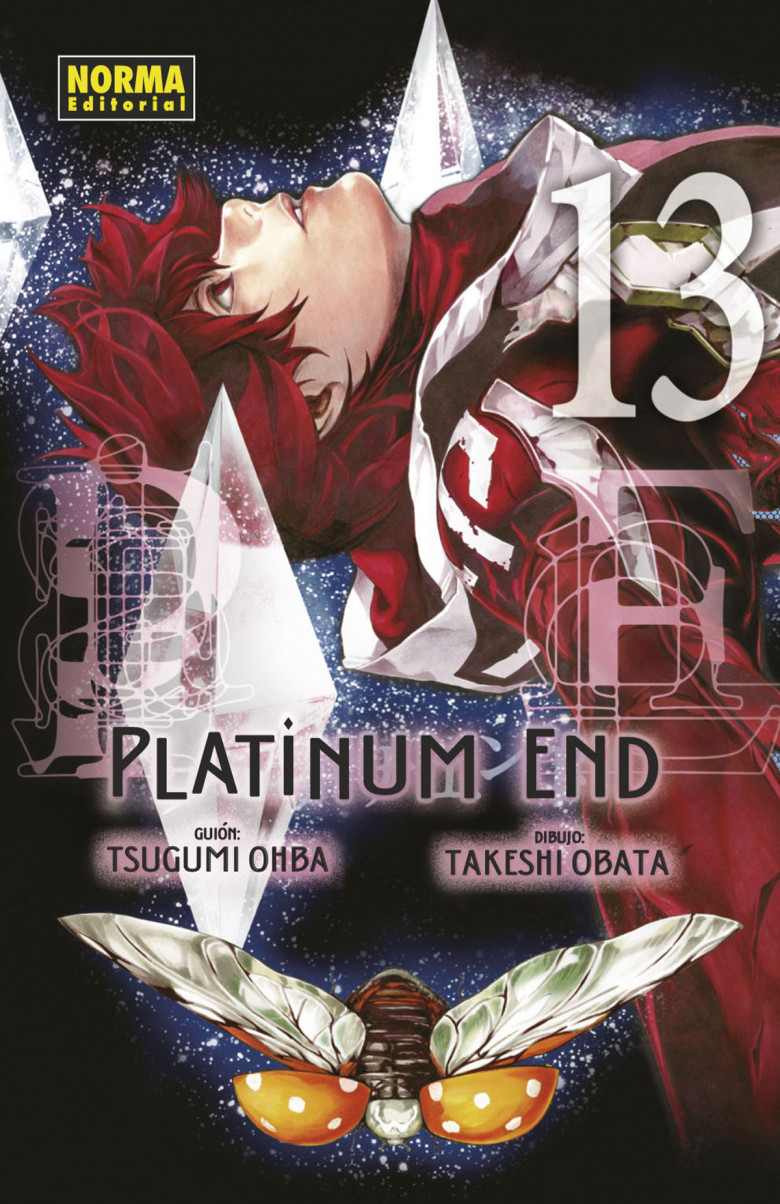 PLATINUM END 13