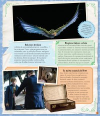 J.K. ROWLING’s WIZARDING WORLD: CINE MÁGICO 1. Gente extraordinaria y lugares fascinantes