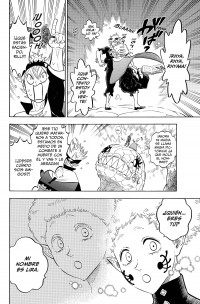 BLACK CLOVER 17