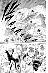 BLACK CLOVER 17