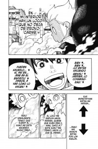 FIRE FORCE 17