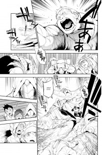 THE PROMISED NEVERLAND 17