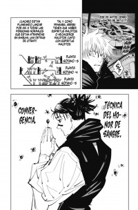 JUJUTSU KAISEN 11