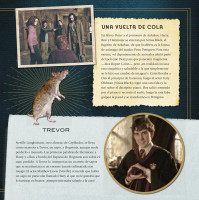 HARRY POTTER: CRIATURAS MÁGICAS. UN ÁLBUM DE LAS PELÍCULAS