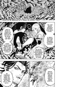 BLACK CLOVER 22