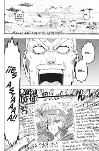 BLACK CLOVER 23