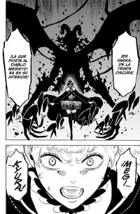 BLACK CLOVER 25