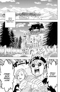 BLACK CLOVER 25