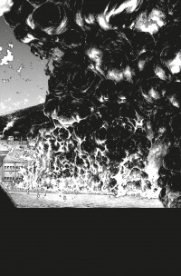 FIRE FORCE 25