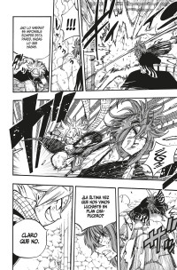 FAIRY TAIL 100 YEARS QUEST 12