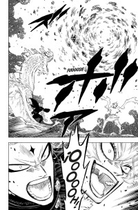 BLACK CLOVER 32