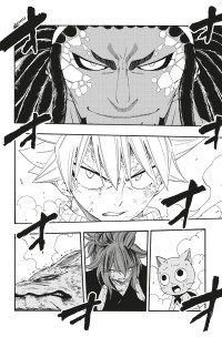 FAIRY TAIL 100 YEARS QUEST 13