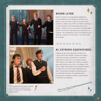 HARRY POTTER / ANIMALES FANTÁSTICOS: DUELOS DE MAGOS. UN ÁLBUM DE LAS PELÍCULAS