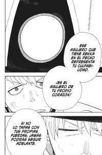 FIRE FORCE 30